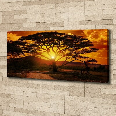 Canvas foto West-Afrika