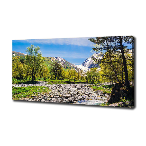 Foto obraz na płótnie Rzeka w górach