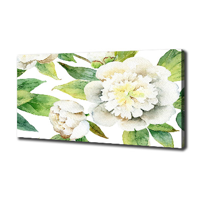 Canvas foto Pioenrozen