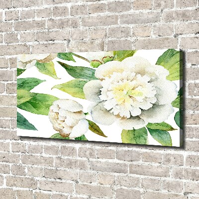 Canvas foto Pioenrozen