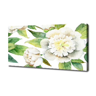 Canvas foto Pioenrozen