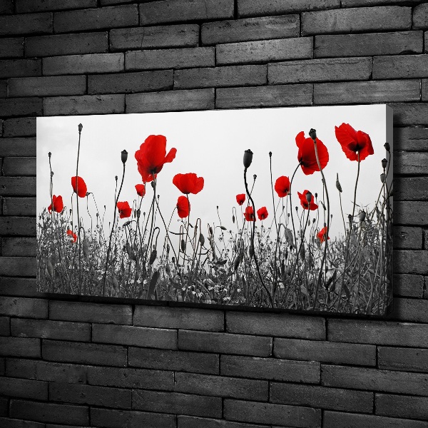 Canvas schilderij Klaprozen