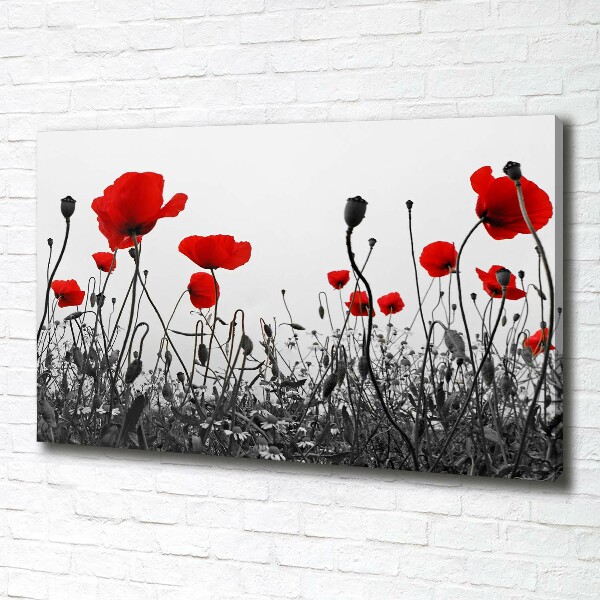 Canvas schilderij Klaprozen