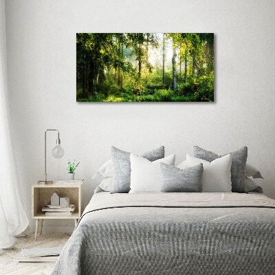 Foto canvas Ochtendzonbos