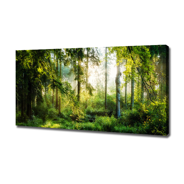 Foto canvas Ochtendzonbos