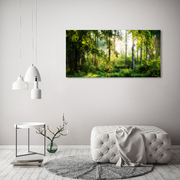 Foto canvas Ochtendzonbos