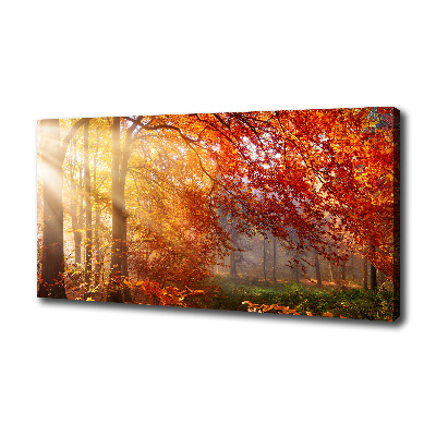 Canvas schilderij Herfstbos