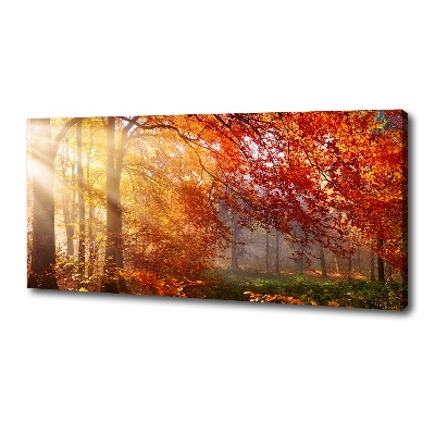 Canvas schilderij Herfstbos
