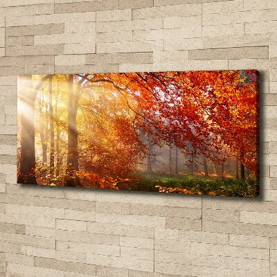 Canvas schilderij Herfstbos