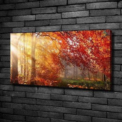 Canvas schilderij Herfstbos