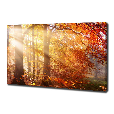 Canvas schilderij Herfstbos