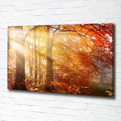 Canvas schilderij Herfstbos