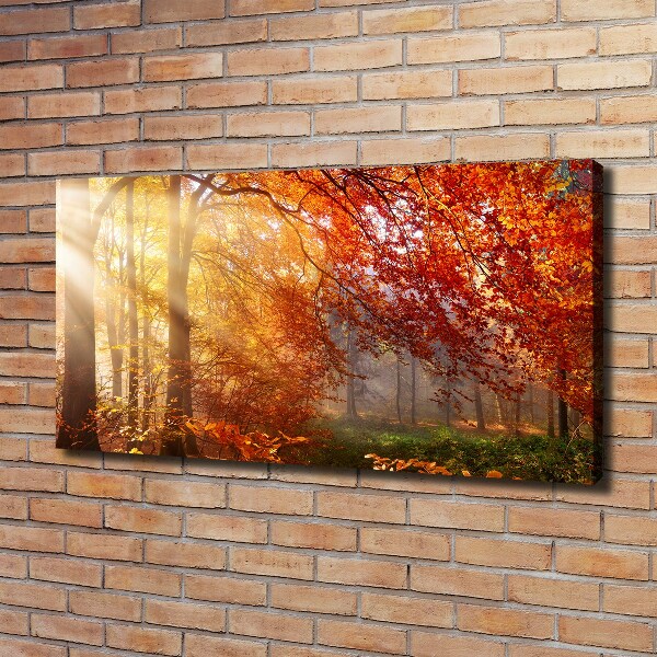Canvas schilderij Herfstbos