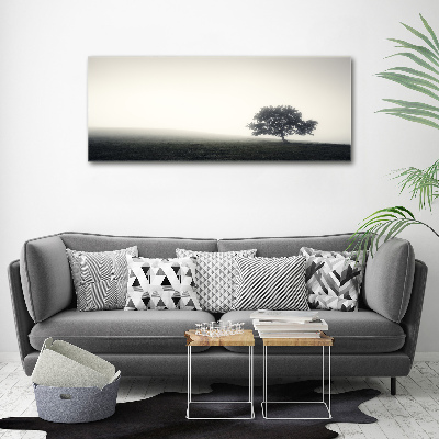 Foto op canvas Eenzame boom