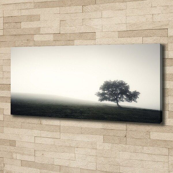 Foto op canvas Eenzame boom