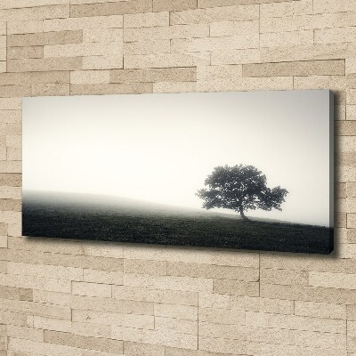 Foto op canvas Eenzame boom