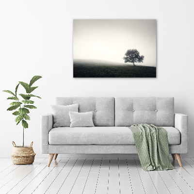 Foto op canvas Eenzame boom