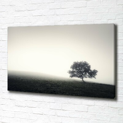 Foto op canvas Eenzame boom