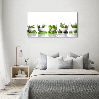 Foto canvas Kruiden