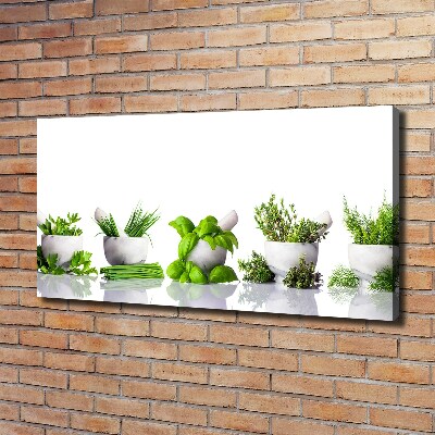 Foto canvas Kruiden