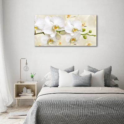Foto op canvas Orchidee
