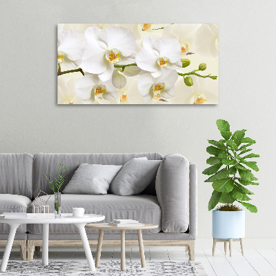 Foto op canvas Orchidee