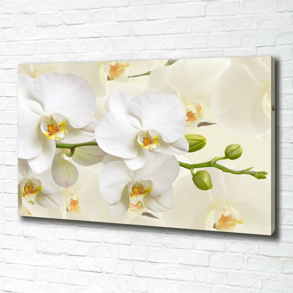 Foto op canvas Orchidee