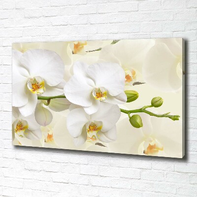 Foto op canvas Orchidee