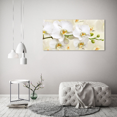 Foto op canvas Orchidee