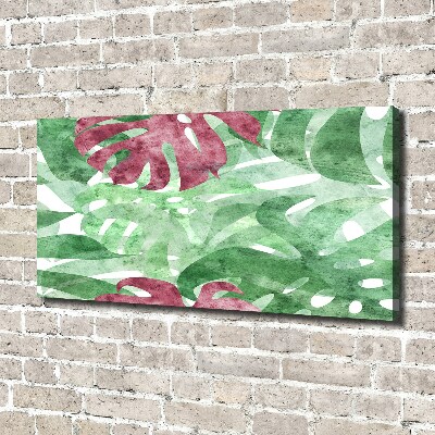 Foto obraz canvas Monstera