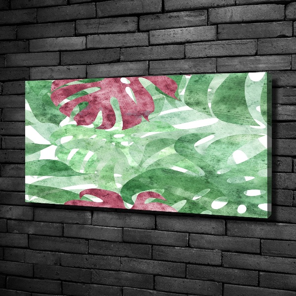 Foto obraz canvas Monstera