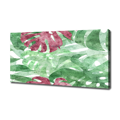 Foto obraz canvas Monstera