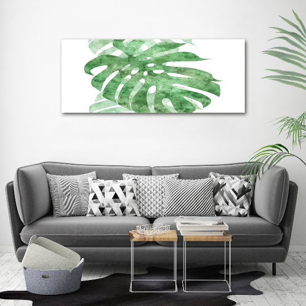 Foto obraz canvas Monstera