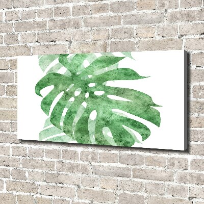 Foto obraz canvas Monstera