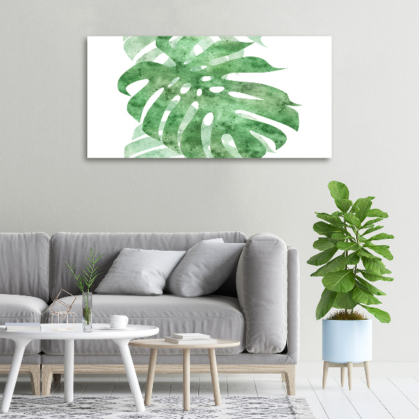 Foto obraz canvas Monstera