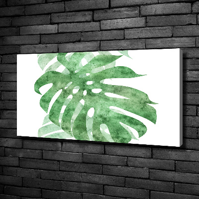 Foto obraz canvas Monstera