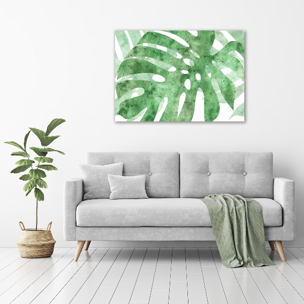 Foto obraz canvas Monstera