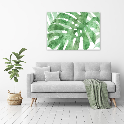Foto obraz canvas Monstera