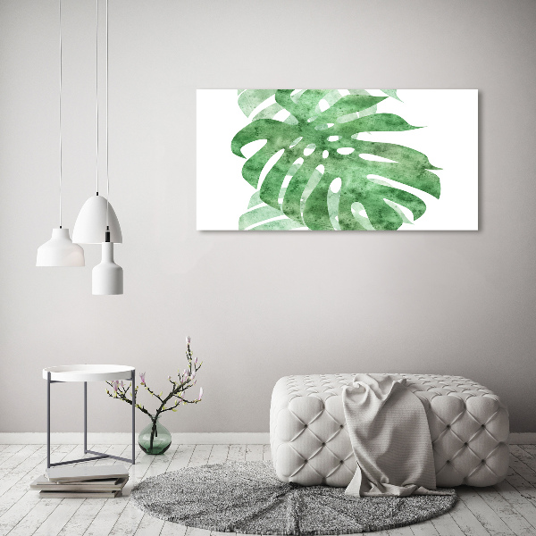 Foto obraz canvas Monstera