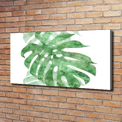 Foto obraz canvas Monstera