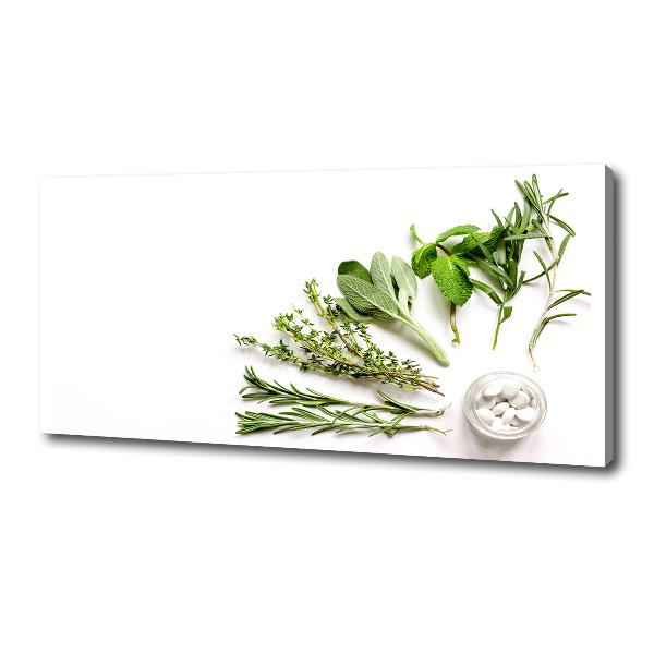 Schilderij op canvas Kruiden
