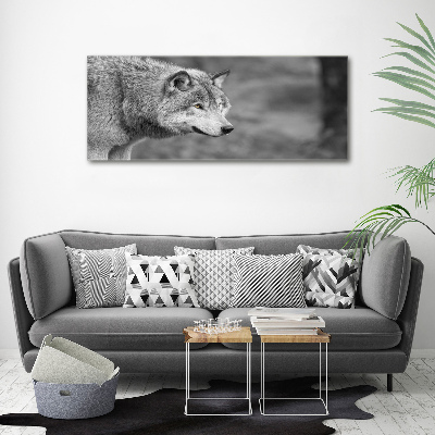 Foto canvas Grijze wolf