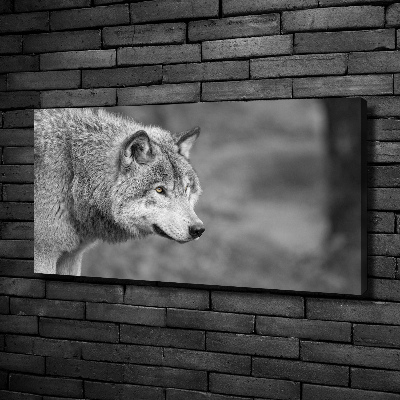Foto canvas Grijze wolf