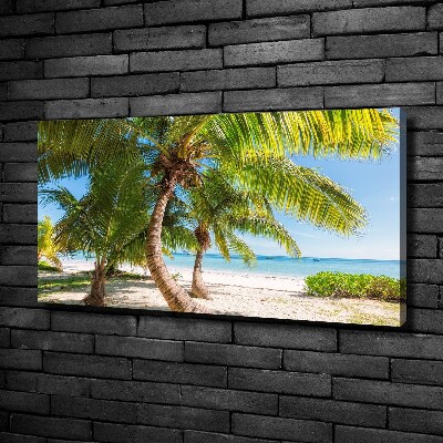 Foto op canvas Tropisch strand