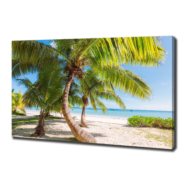 Foto op canvas Tropisch strand