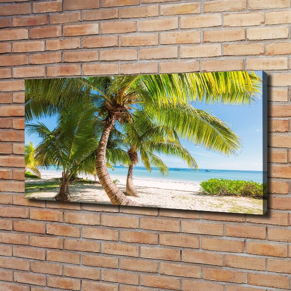 Foto op canvas Tropisch strand