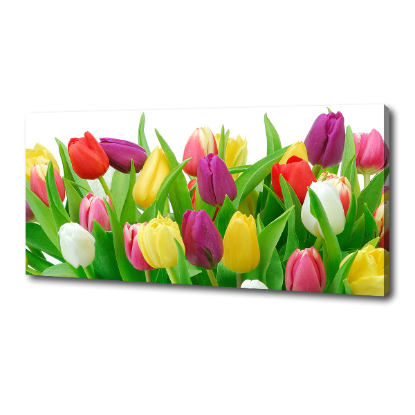 Canvas schilderij Kleurrijke tulpen