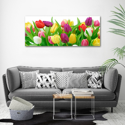 Canvas schilderij Kleurrijke tulpen
