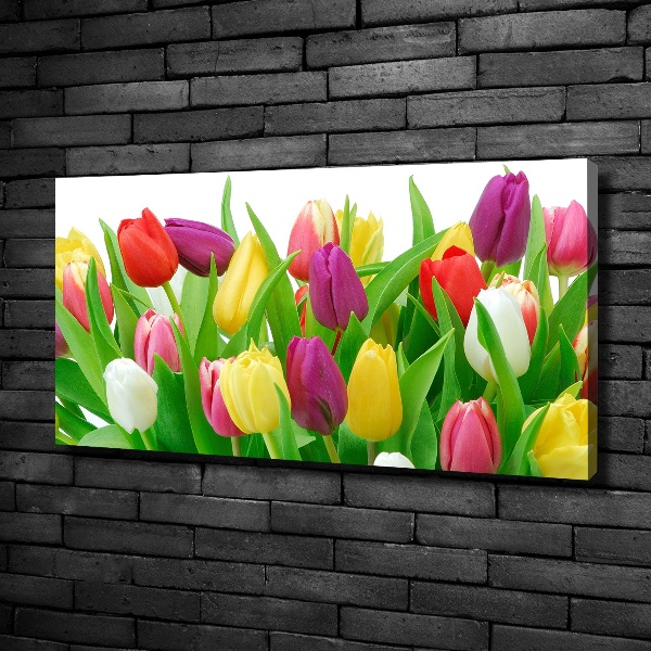 Canvas schilderij Kleurrijke tulpen