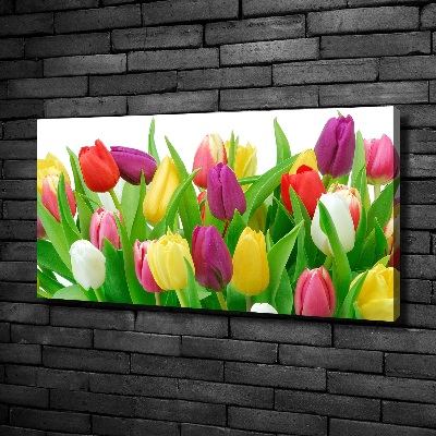 Canvas schilderij Kleurrijke tulpen
